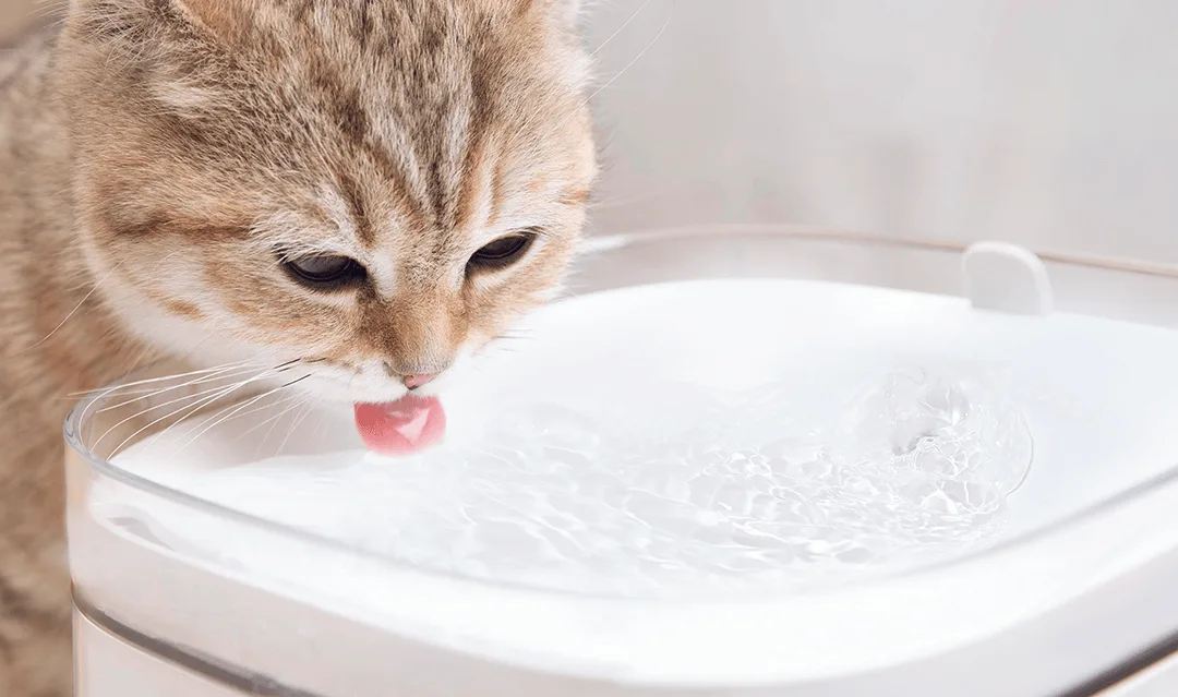 Xiaomi Smart Pet Fountain